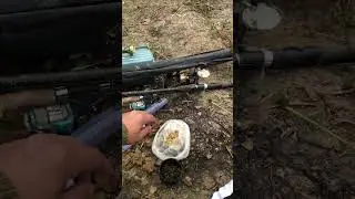 21 июня 2024 г.