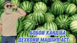 БОБО КИШОВАРЗИ  дора.