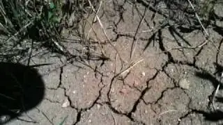 Goodhue ditch, July 24 2010, pt 3/3