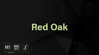 Episode One | Materials- Red Oak