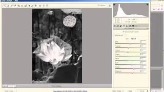 Video Hoc PhoToShop Tieng Viet [ CS2 / CS3 / CS4 / CS5 ]- Duong Trung Hieu . P8