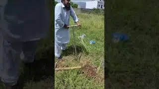SPT