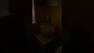 Как кричит домовой😂