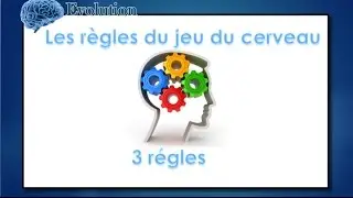 les règles du jeu du cerveau : règle numéro 02