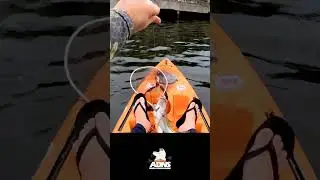 Mais um pra conta na rapalinha  meia agua #shorts