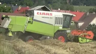 Žně Claas Medion 310 New Holland T-6020 + Big-10