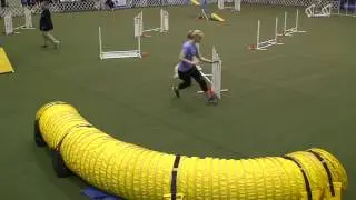 JoJo- 2016 AKC Agility Invitational Round 3