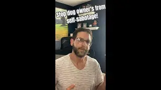 Stop Dog Owners From Sabotaging Their Progress