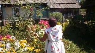 Ой, цветет калина, в поле у ручья