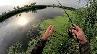 КІНЕЦЬ СЕЗОНУ КАВУНА  осіння рибалка