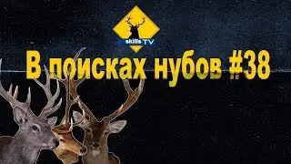 В поисках нубов #38
