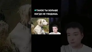 🇰🇿Казахский Вайб