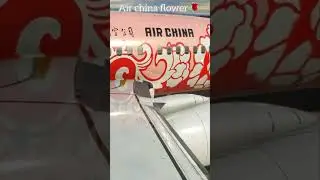 Airlines and their Best livery’s! 