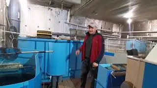 Как самоочищается УБФ, ответы на вопросы.