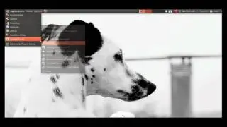 ubuntu linux 10.10 screen capture with mac osx like dock