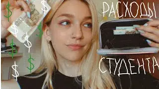 СКОЛЬКО НУЖНО СТУДЕНТУ В МЕСЯЦ?| расходы студента-международника
