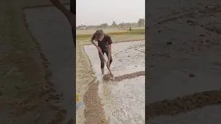 jay jawan jay kisan 