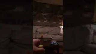 Water bottle flip challenge/stay took the end