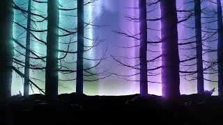 Aurora Forest Background and Forest Mountain Wallpaper - Video Loops