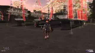 Final Fantasy XI Starlight Festival Begins