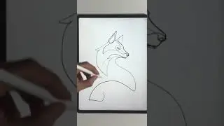 Continuous Line Drawing on ProCreate