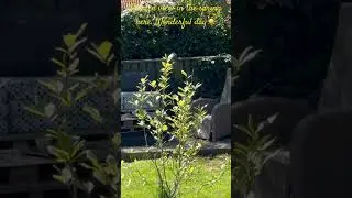 Doing time in the garden. Wonderful day. Summer is near.