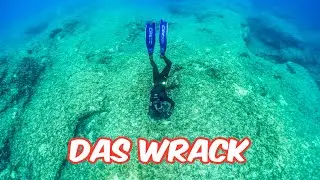 Das Wrack + der 1120 Euro Fisch | Freediving Club - Kroatien 2023 | Freitauchen mit Apnea Planet