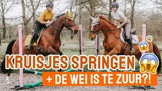 We SPRINGEN weer eens een kruisje! + Weidebeheer || Vlog #313