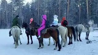 Новогодний тур на Алтай