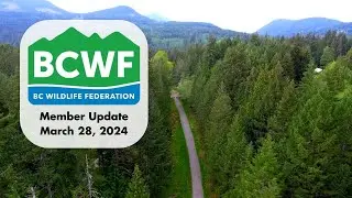 BCWF Member Update from David Lewis - Mar 28, 2024