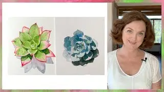 Watercolor succulents // Watercolor Techniques Explained