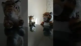 Выпусти меня погулять.