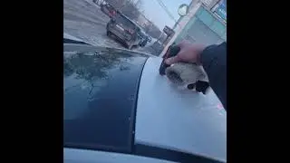 Осмотр шевроле авео 2012гв для клиента