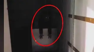Scary Videos That Are So Chilling You Need To Check Them Out! Try Not To Be Afraid!