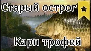 РР4 | ТРОФЕЙ | Карп чешуйчатый | Старый острог
