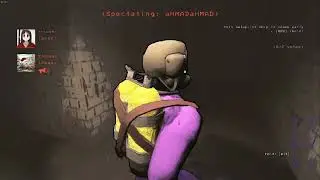 Lethal Schizophrenia