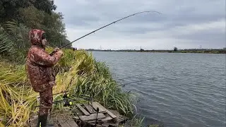 Autumn fishing on the river. Catching different fish. Carp, crucian carp, roach, bream. Dniester ...
