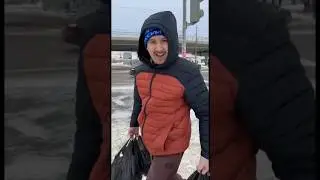 #кабутар