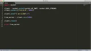 Python Socket Programming Demo