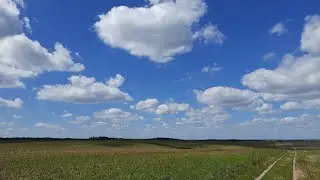 Лісова садиба .Коп на Заході України .