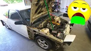 WHITE HATCH IMPROVEMENTS!!