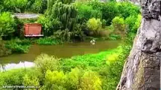 Видео из-под моста, Бегущая лань