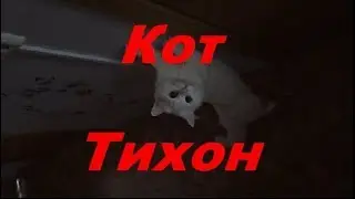 Кот Тихон