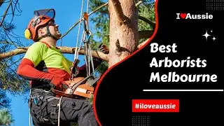 Top 5 Best Arborists in Melbourne for Tree Care Services | I Luv Aussie