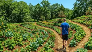 From Old Farm to Terraced Permaculture Paradise