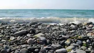Притча  'Богатство, дружба и любовь'  wmv
