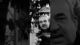 3 dairəli Venn diaqramı sualının izahı