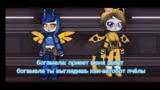 Bogamela and Bumblebee 