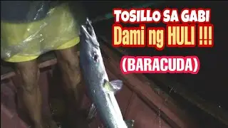 HANDLINE FISHING PAANO MANGHULI NG TORSILLO (BARACUDA)