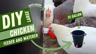 Build Your Own Chicken Feeder and Waterer